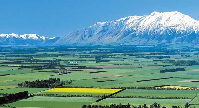 Waimakariri Selwyn Hurunui Proprety Valuation